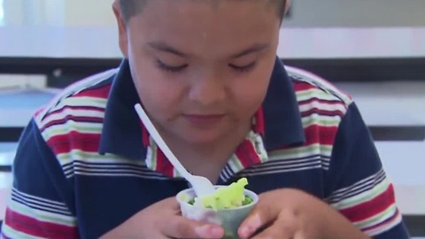 Packing healthy lunches for kids