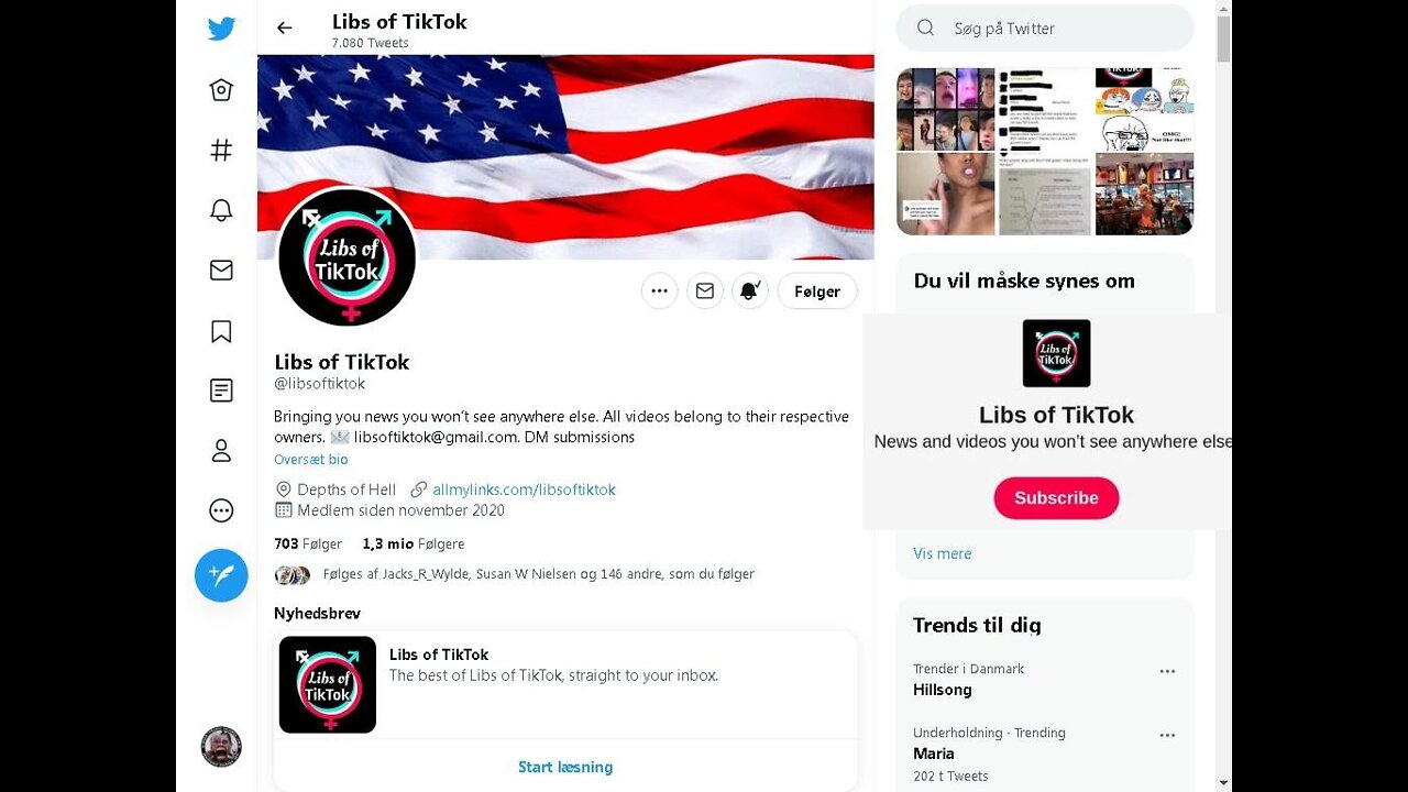 Who is 'Libs of TikTok'? Information Warfare & Depths of Hell! [17.06.2022]