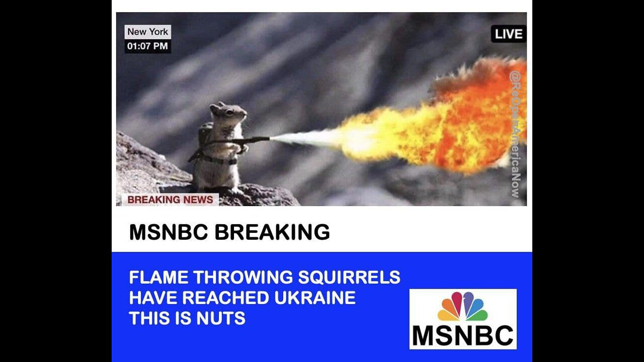 What is really going on in Ukraine