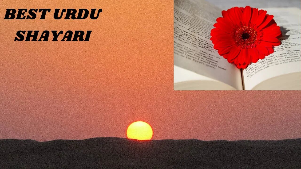 Discover the Real Best Urdu Shayari status, The Best Urdu Shayari status Guide For Everyone