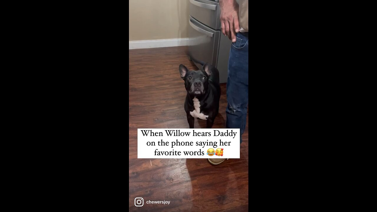 Willow’s favorite words