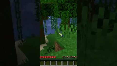 Just a bit of Exploring 😳MINECRAFT