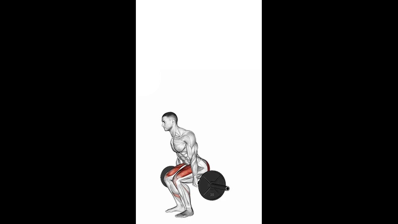 Barbell Hack Squats Exercise.