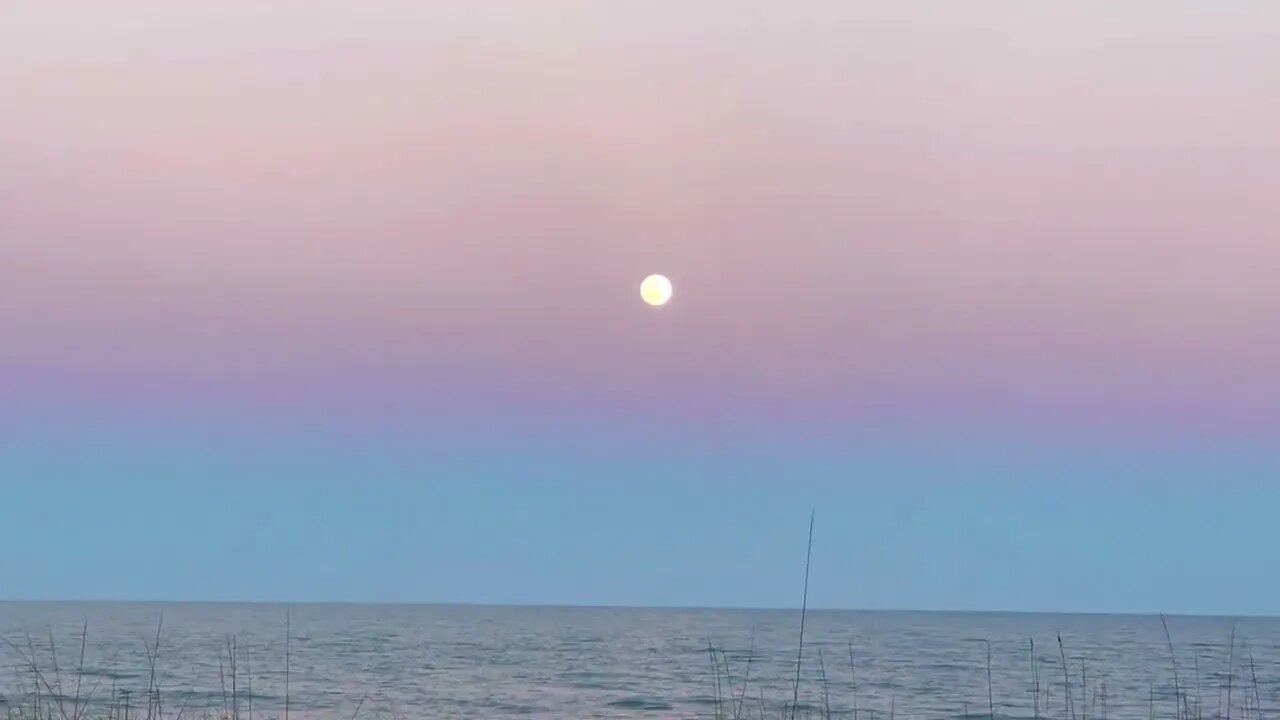Enjoy an amazing pastel colored Moon Rise 🌊🌖