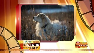 Art's Cameras Plus Picture of the Day for October 9!