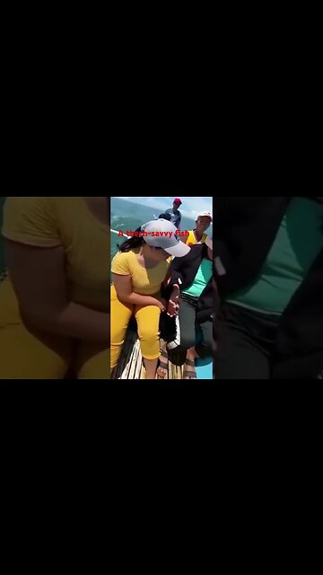 Phone Stolen by Fish?! The Wild Oceans Twelve Audition!