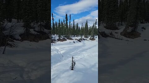 Spring snowshoeing.