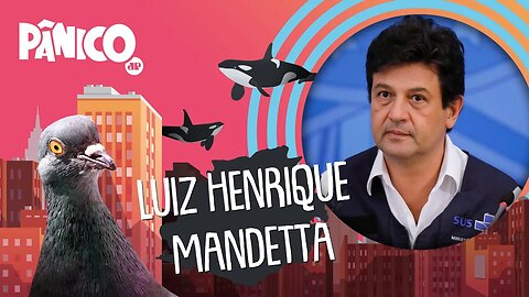 LUIZ HENRIQUE MANDETTA| PÂNICO - AO VIVO - 05/06/20