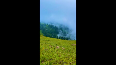 Shoghran|Pakistan|Northern Areas