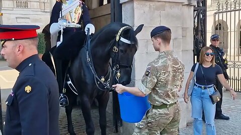 Horse throws water at guard #thekingsguard