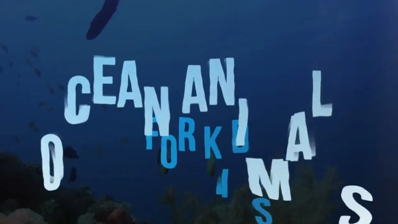 Ocean Animals for Kids | Learn all about the Animals and Plants that Live in the Ocean