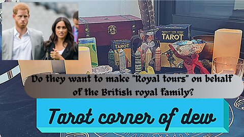 The Sussexes want to be "royal ambassadors " and go to "royal tours "??