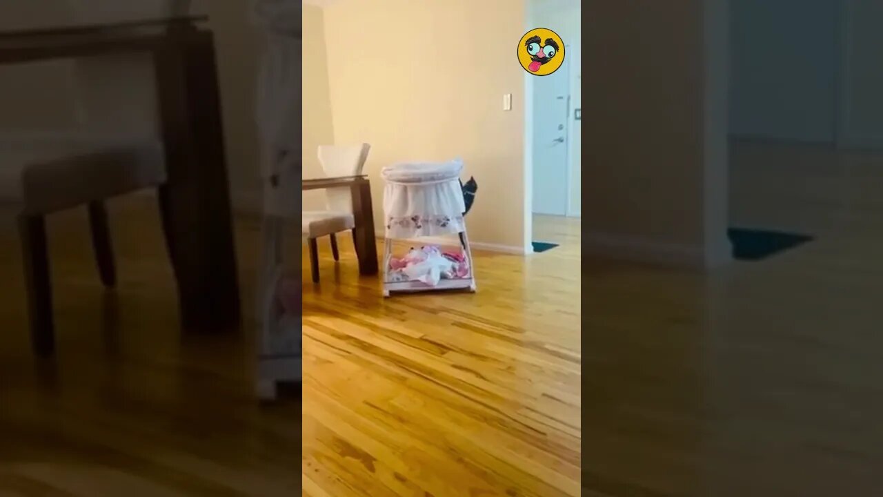 Funny Animals/ A Cute Cat Trying To Quite A Baby # 12 #Shorts