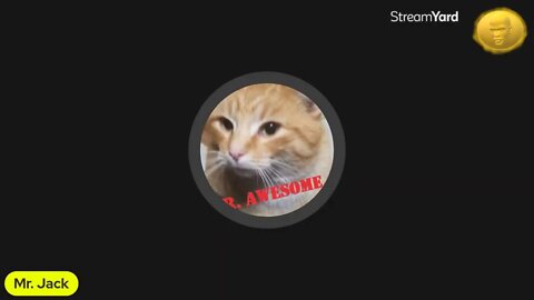 Sunshine Stream: Scooter vs. Cliff