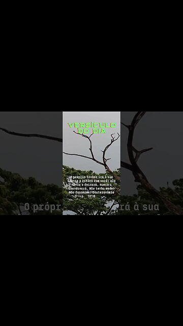VERSÍCULO DO DIA 24/01/2023.#shorts
