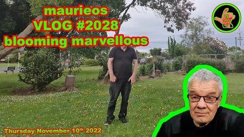 maurieos VLOG #2028 blooming marvellous
