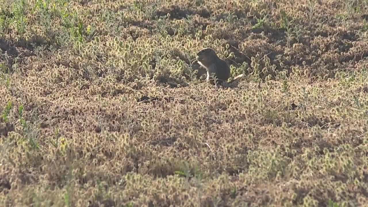 Idaho National Guard has an entire team dedicated to conservation