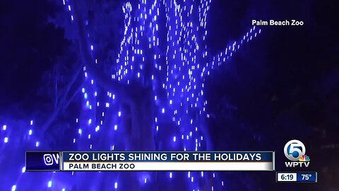 Zoo lights shining bright for the holidays at the Palm Beach Zoo