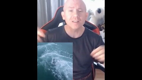 Have your heart filled with gratitude- Be thankful for your miracles from above