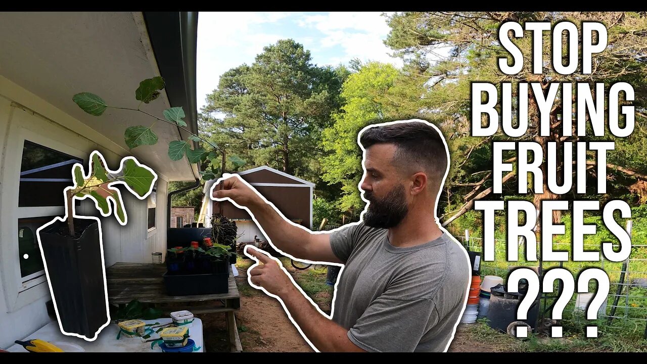 Stop Buying Fruit Trees Until You Watch This!?/ Make Your Own Fruit Trees/ Food401K