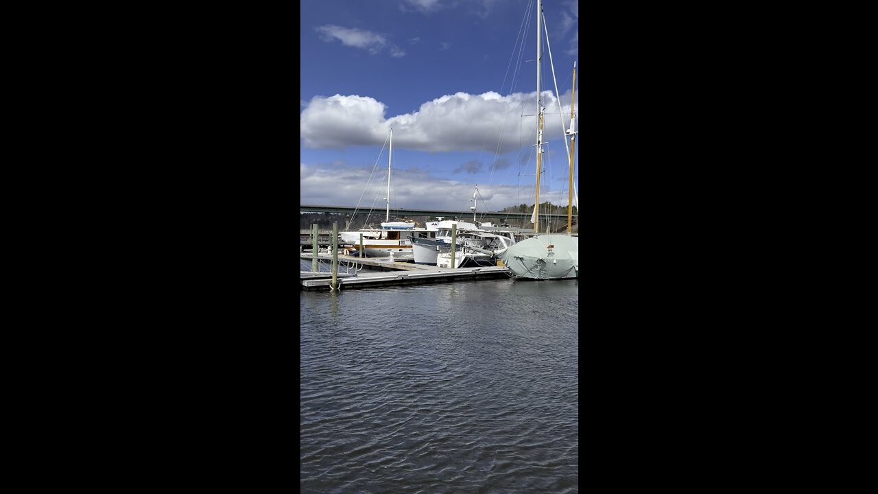 Gorgeous Belfast, Maine Harbor