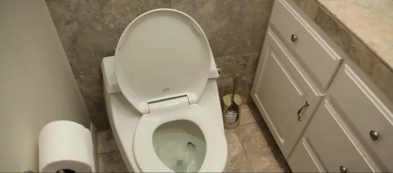 Put the seat down before you flush