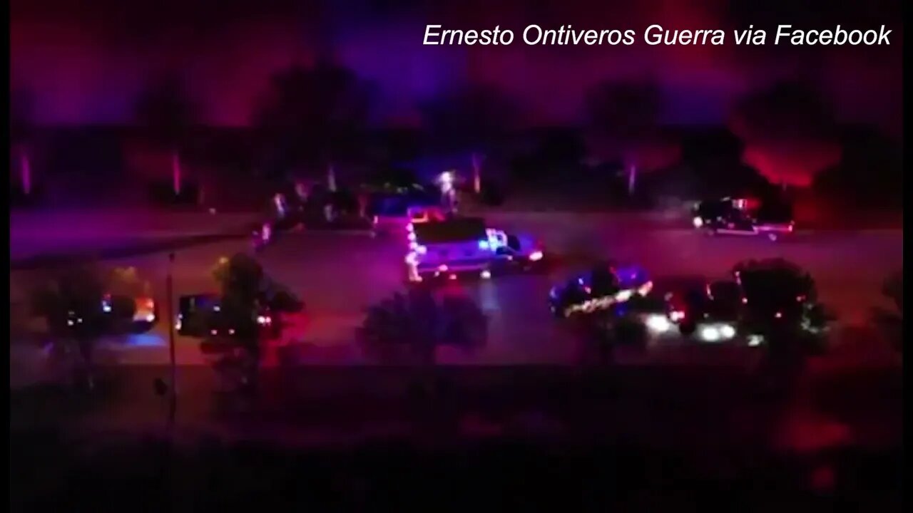 Coyote in 'Serious Condition' Following Ozona Crash