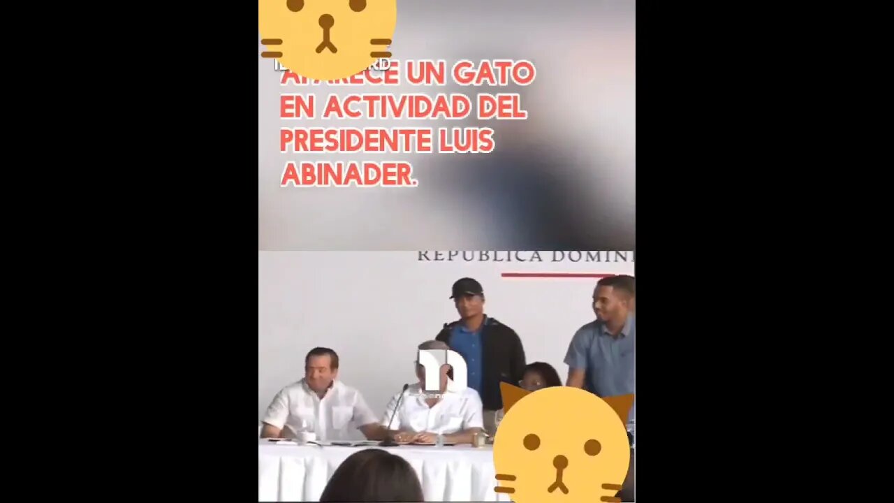 Luis abinader actividad se convierte en gato miau mira bien el video