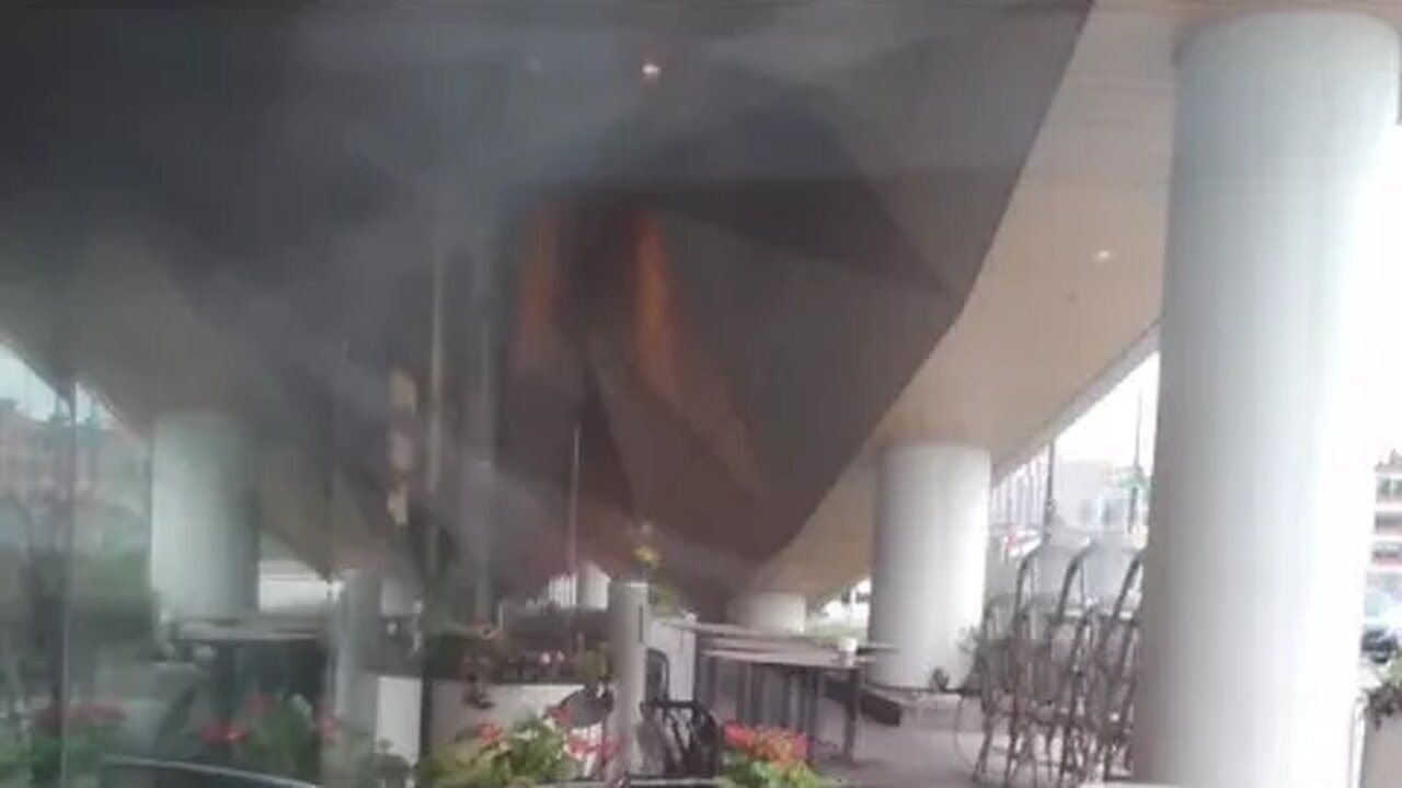 Post-Cat Visit at the FMC AKA Extended Stay 🐙🦛🐑🦄