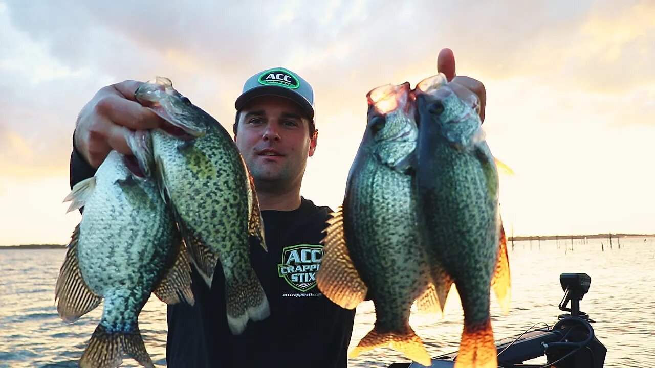 How to Locate Crappie on a NEW Lake | Bridge Fishing (Lake Fork Tour ep.1)