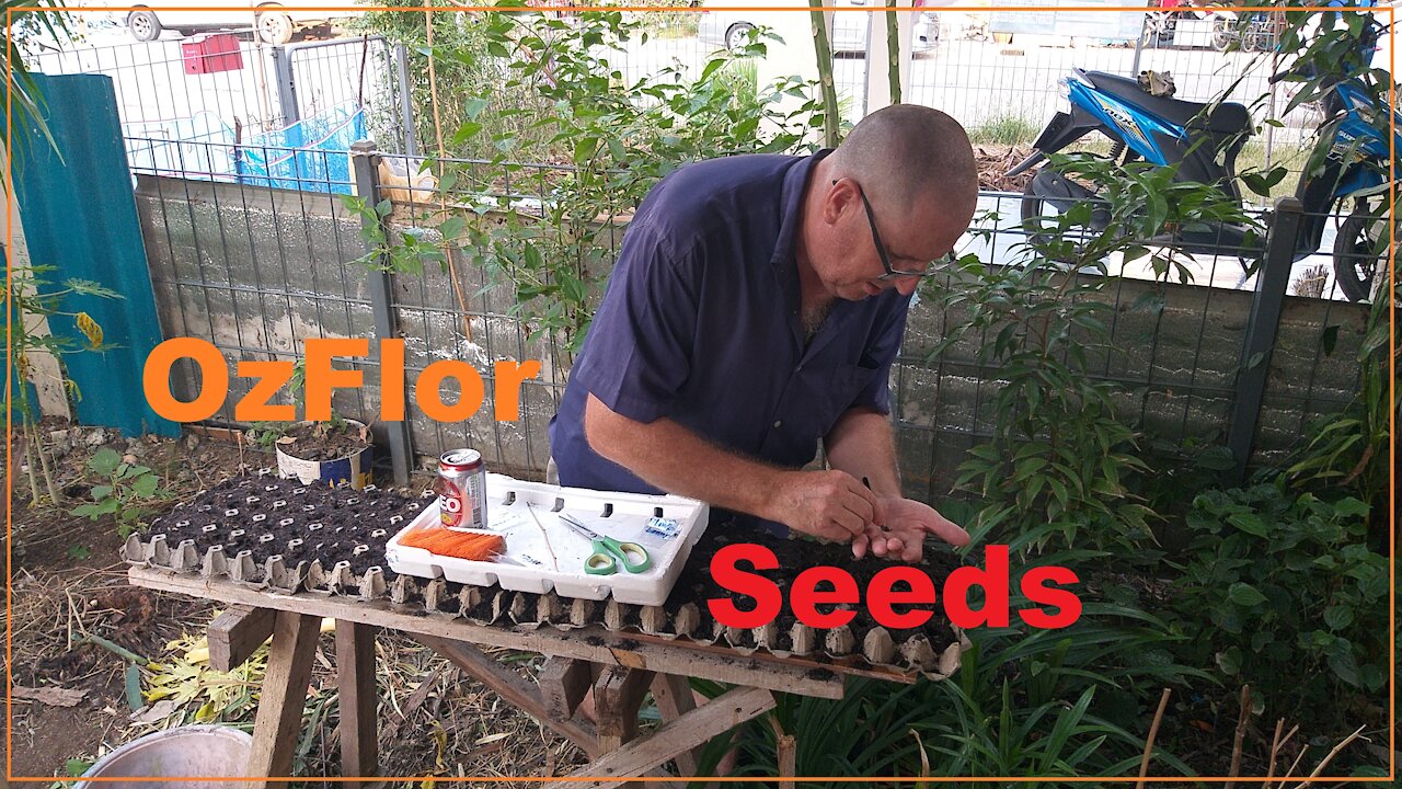 My seeds just arraved and I have sowed some of them