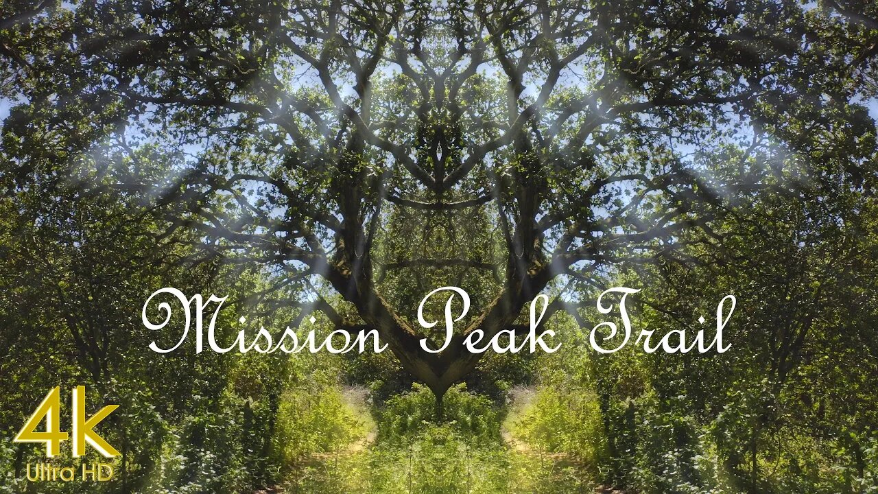 Mission Peak / 4k Cinematic