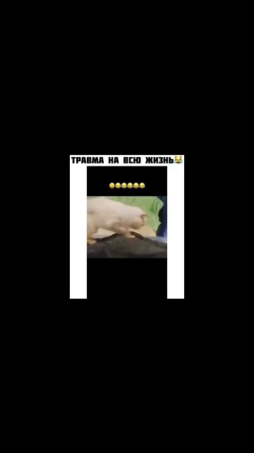 эти приколы искали все / приколы 2022 / приколы 2022 тик ток / тик ток приколы смотреть