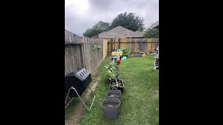 Gardening Journey - Ep.14: Love you Mom