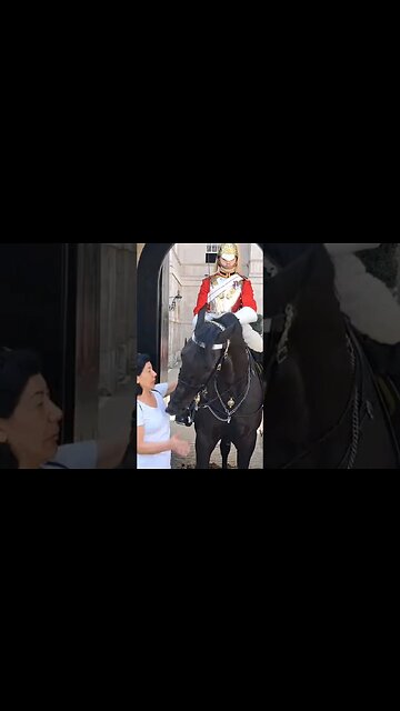 Arrrr so sweet not lol 😆 😂 🤣 #horseguardsparade