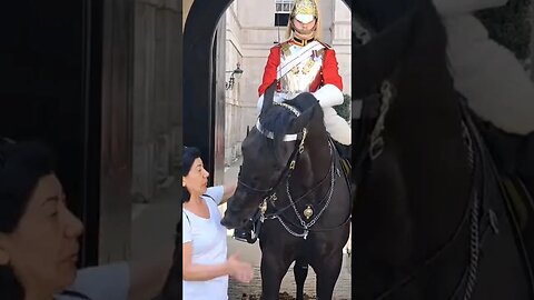 Arrrr so sweet not lol 😆 😂 🤣 #horseguardsparade