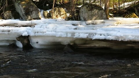 Spring 2022 is on its Way! The Once Nearly Frozen River Roars back to Life!