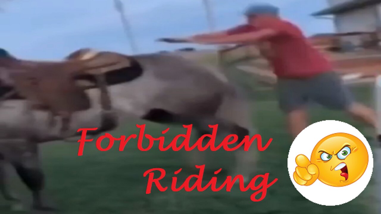 Forbidden Riding