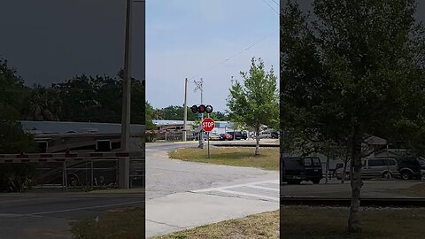 Florida East Coast Railway Local at Big Tree Road Crossing in South Daytona Florida Apr. 3 2023