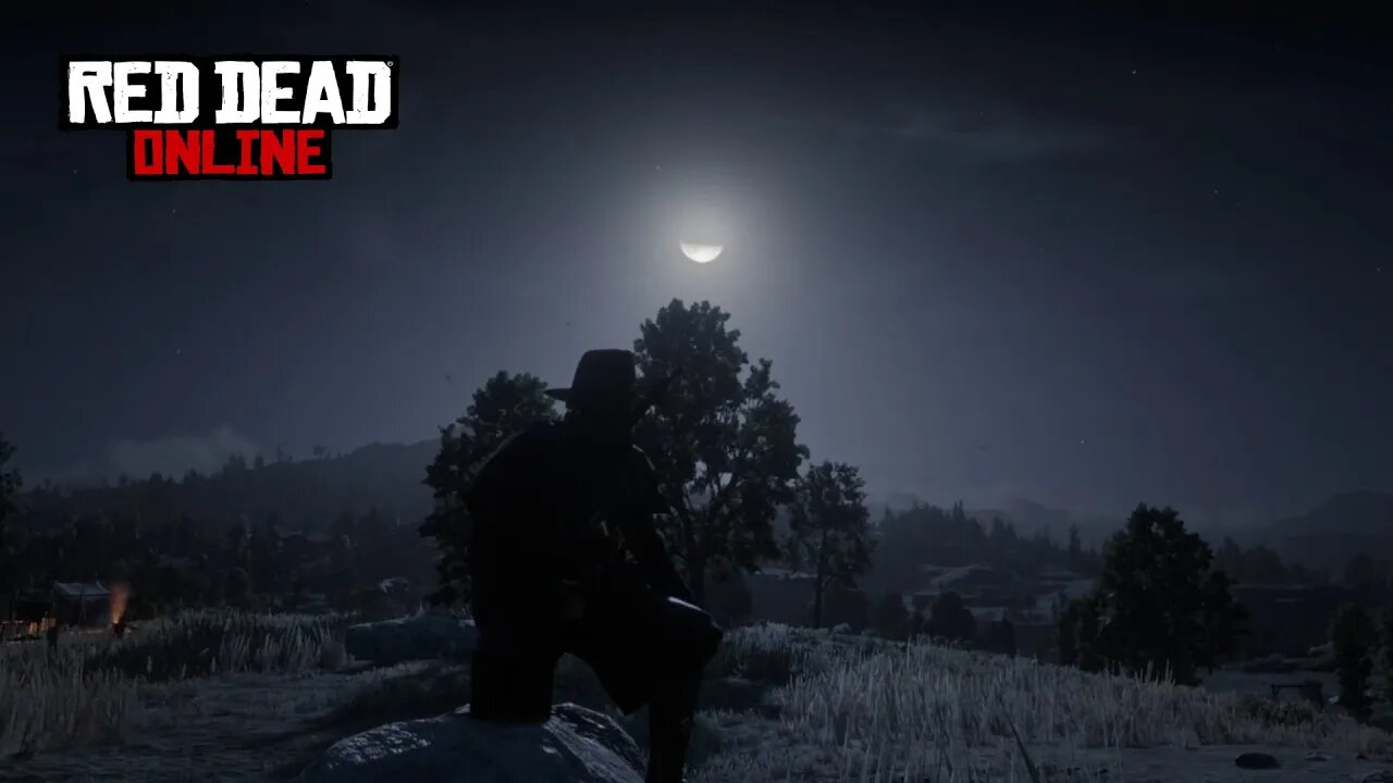 Red Dead Redemption 2 Online