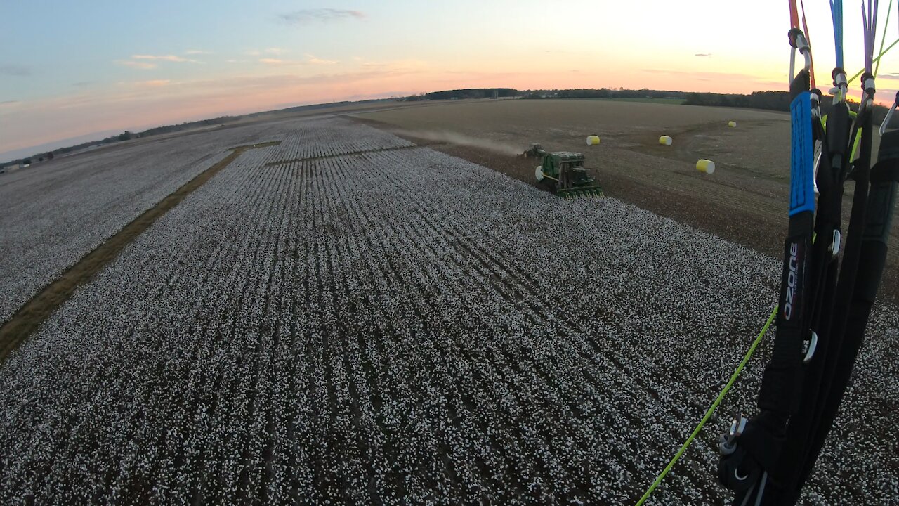 Gotta love this cotton pickin weather