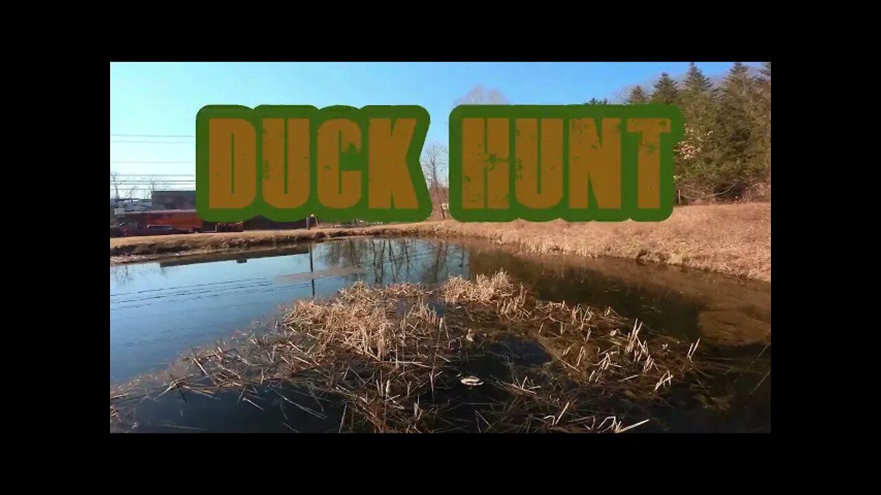 Duck Hunter