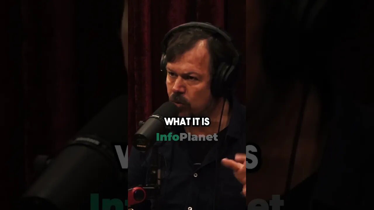 The Truth About Wild Chimpanzees #joerogan #viral