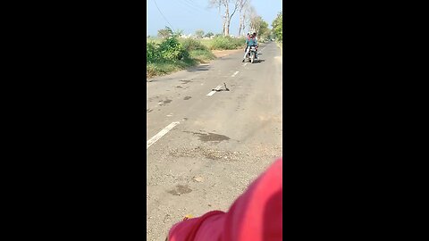 Snake on the Road Video Dance l snake on the road dance video l #snake #Rumble #video#viral #animals