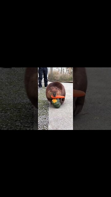 When you decide that the basket is not needed