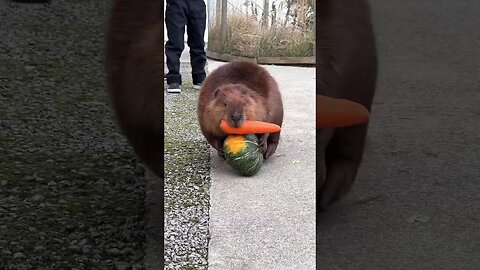 When you decide that the basket is not needed