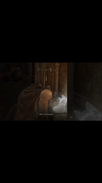 Grapes Ghost #eldenring