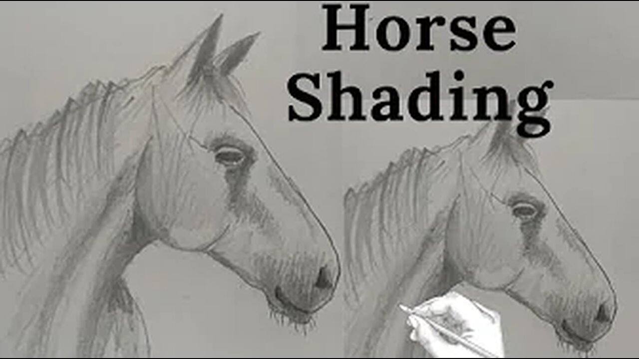 How to draw horse || Sketch || pencil.shading || best for beginners || S Kamal Art and craft