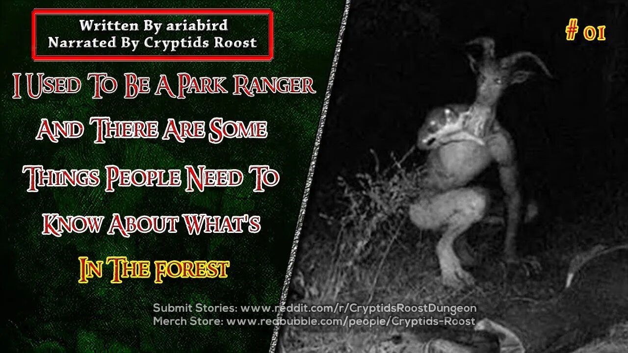 I Used To Be A Park Ranger & There Are Some Things People Need To Know About What's In The Forests