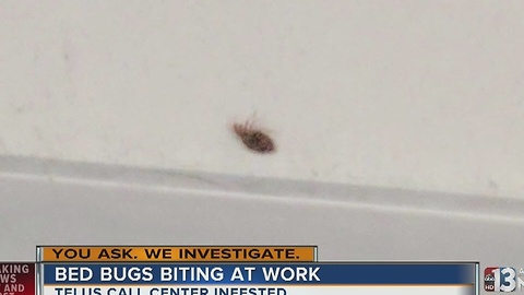 Employees report bed bugs at call center